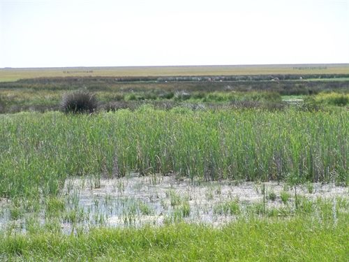 Estudio de depuración de aguas en municipios cercanos a Doñana