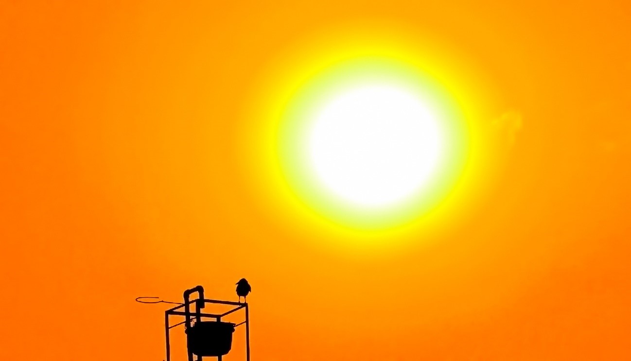 Dos aplicaciones tan diferentes como eficaces de la energía solar