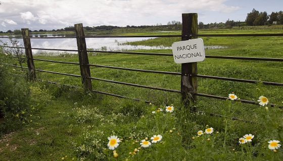 La EU estudiará los pozos de gas en la costa de Doñana