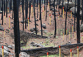 Por una política sostenible