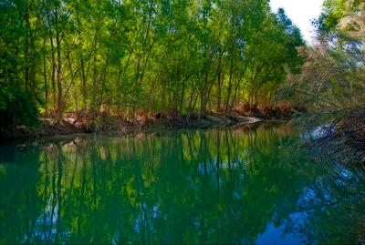 Alumnos de la Cátedra Fundación Agua y Progreso-UPV analizarán los caudales ecológicos del Ebro durante una jornada