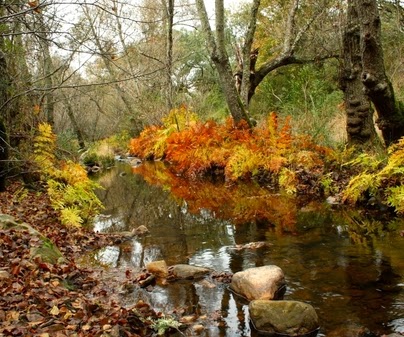 Nueva dirección del Parque Natural del Valle de Alcudia y Sierra Madrona