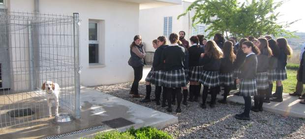 Más de la mitad de los animales del Centro Municipal de Acogida de Logroño fueron adoptados o recuperados el año pasado