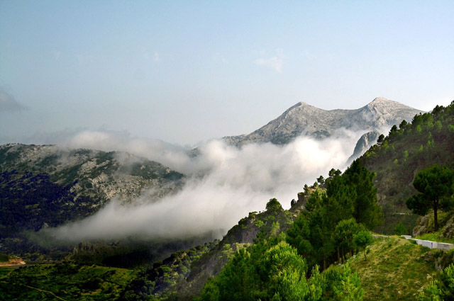 Junta considera "intolerables" las acusaciones de Ecologistas en Acción sobre el Parque de Grazalema