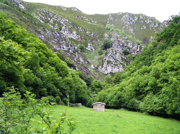Coordinadora Ecologista presenta alegaciones al estudio de impacto ambiental de la ruta del Alba (Asturias)