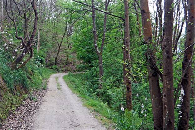 Galicia impulsará las sociedades de fomento forestal