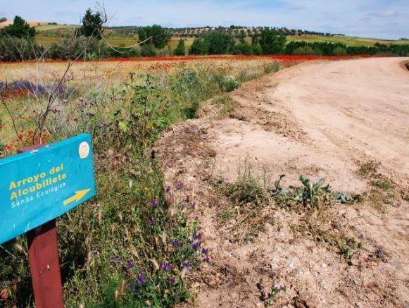 Polémica por la conservación del ‘Monumento Natural de Las Barrancas’ (Toledo)