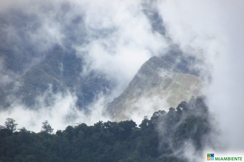 28 años de existencia del Parque Internacional La Amistad (PILA)
