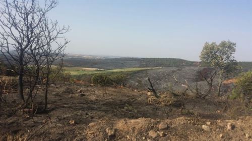 La ‘ruleta rusa’ de reducir personal antiincendios