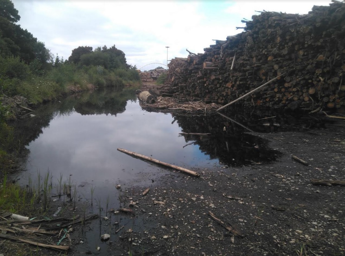 Denunciamos los residuos liquidos del almacenamiento de madera de la papelera