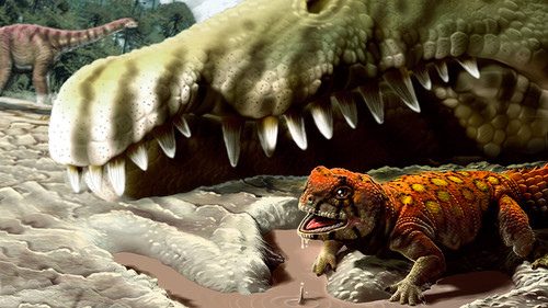 Paleontólogo argentino descubre el lagarto más antiguo del continente africano