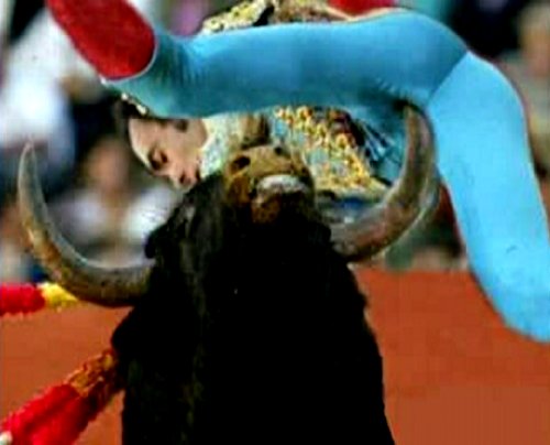 El Gobierno reconoce que fomentará la Tauromaquia