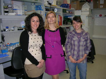 Plantas silvestres. Potentes antitumorales