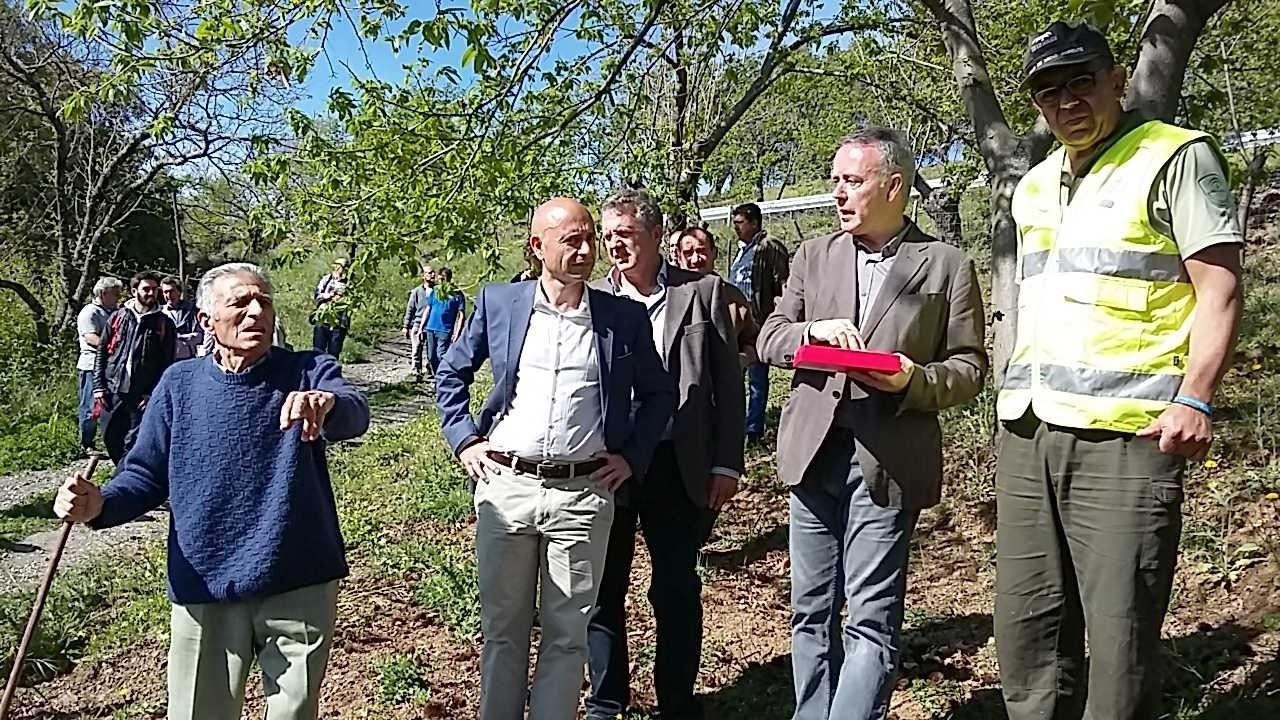 El ‘Torymus sinensis’ frenará la plaga de la avispilla del castaño