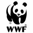 WWF aplaude la prohibición de las bombillas incandescentes