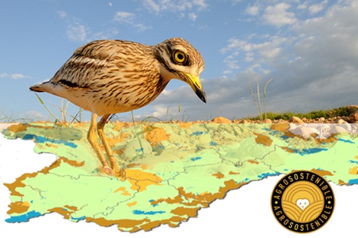 Crecen los destinos de turismo ornitológico con el apoyo de agricultores