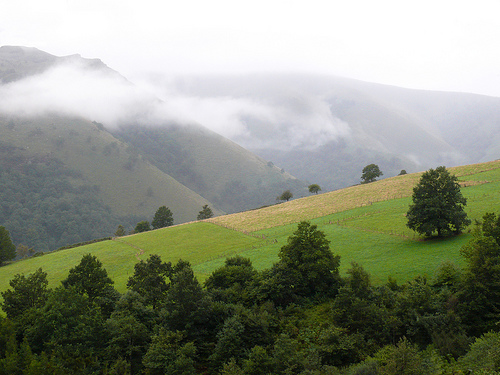 Cantabria la región con menor fragmentación del paisaje