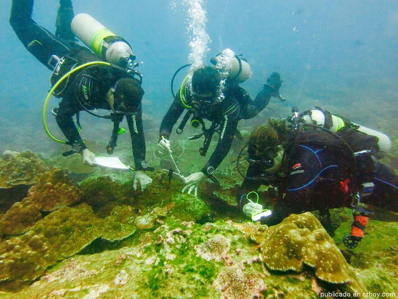Científicos van tras especies no-nativas en Isla del Coco