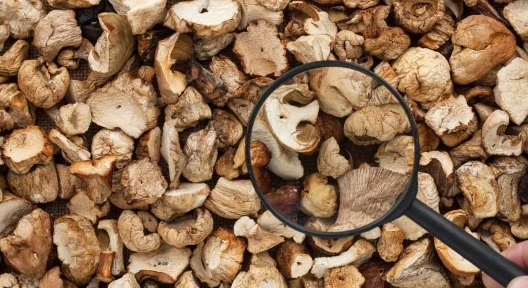 Cesio radioactivo en champiñones importados de Rusia