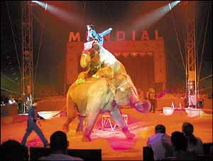 En las atracciones de la Feria de Sevilla hay ‘maltrato’ animal