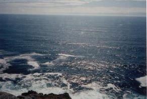 Ecuador. Ministerio de Ambiente efectúa campaña de limpieza del fondo marino