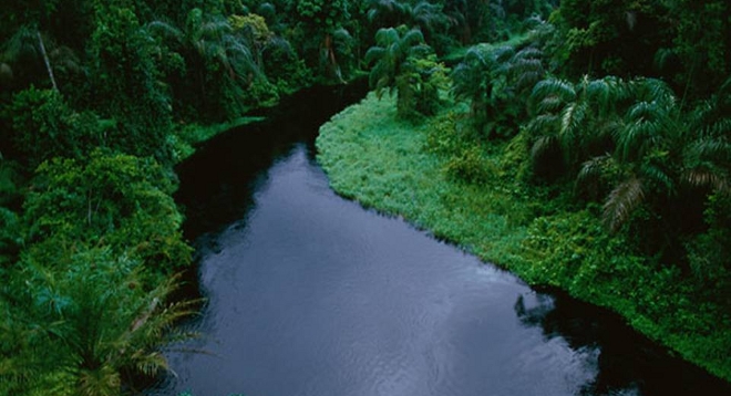 Más allá del almacenamiento de carbono: El bosque de la cuenca del Congo como generador de lluvia