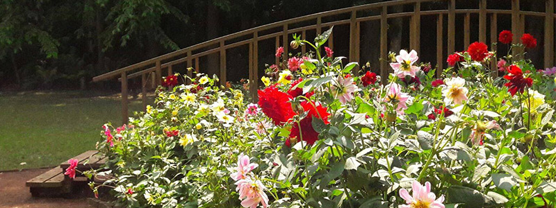 Escuelas ecológicas veracruzanas con el Fairchild Challenge