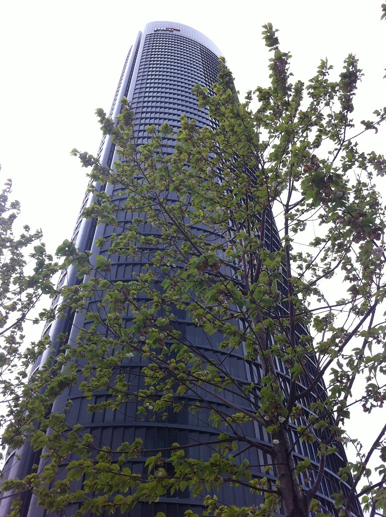 Un minuto de silencio contra el ruido