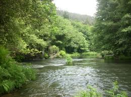 Asturias. Fomento adjudica obras para completar el sistema de saneamiento del río Aboño