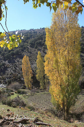La marca Parque Natural de Andalucía cuenta ya con 179 empresas que comercializan 1.145 productos
