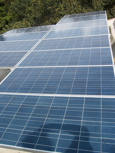 Una serie de charlas informarán a los ganaderos sobre la energía solar fotovoltaica como complemento a su renta