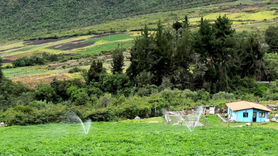 El cambio climático es el reto más grande de la industria alimentaria