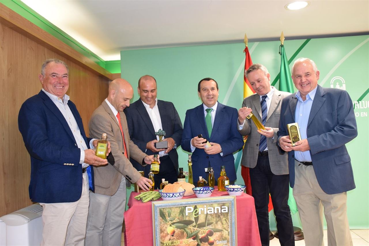 Olivos centenarios andaluces un monumento natural