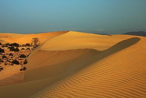 Fuerteventura limpia a conciencia el Parque Natural de Las Dunas de Corralejo