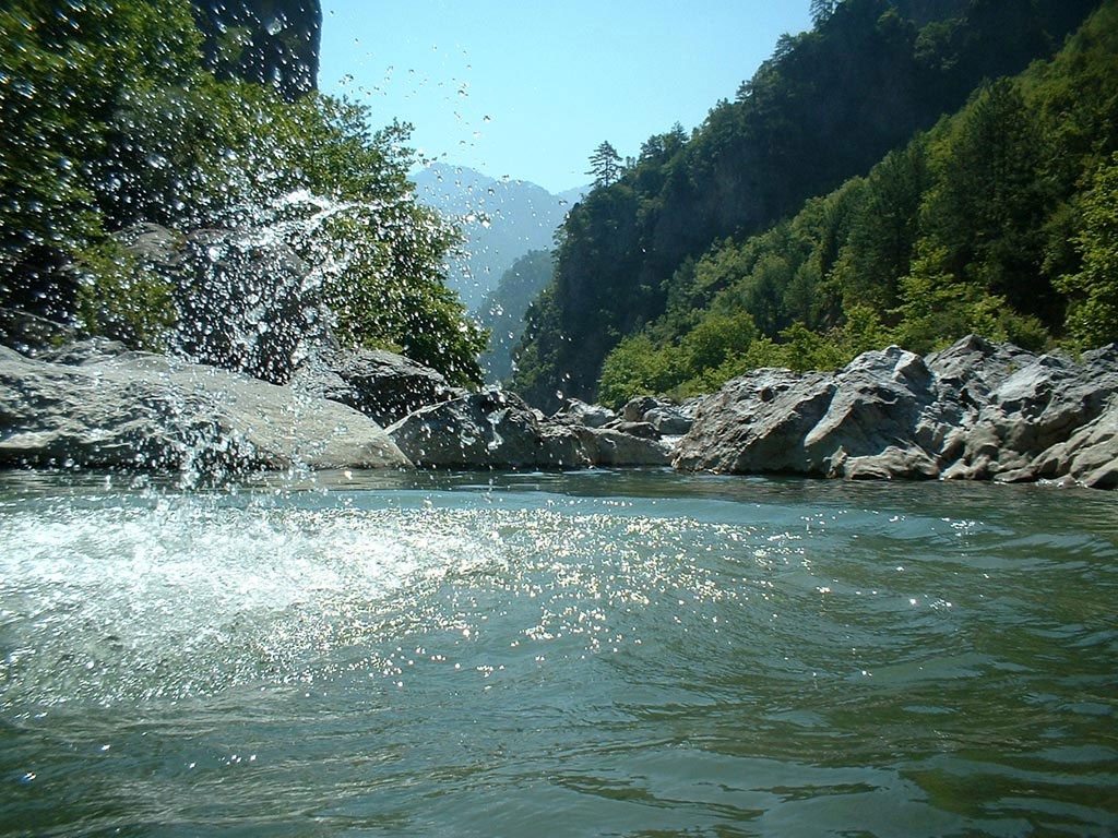 Criterios para valorar el estado ecológico de las aguas continentales
