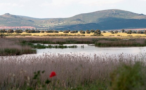 Los humedales de las zonas semiáridas son menos resilientes durante el período seco