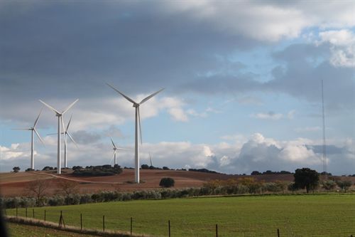 La CNE ve incertidumbre en el nuevo esquema para las renovables y discrepa del trato a Canarias