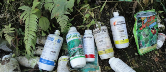 Buscan controlar el uso de agrotóxicos en las huertas platenses