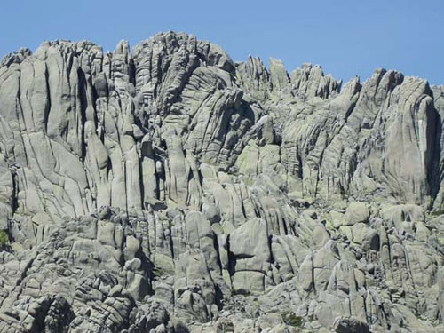 Encuadre geobotánico de la Sierra de Guadarrama: flora y vegetación