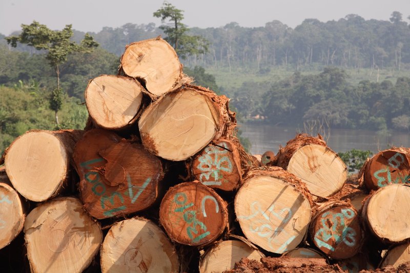 Más madera talando menos árboles … y todo vía satélite