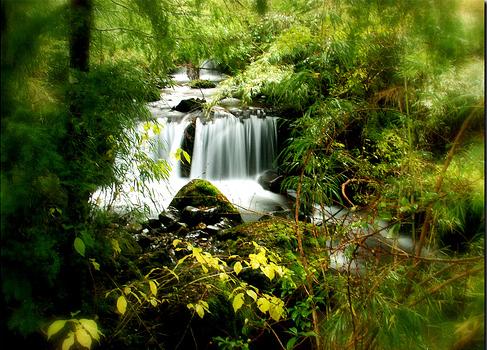 Los problemas mediambientes