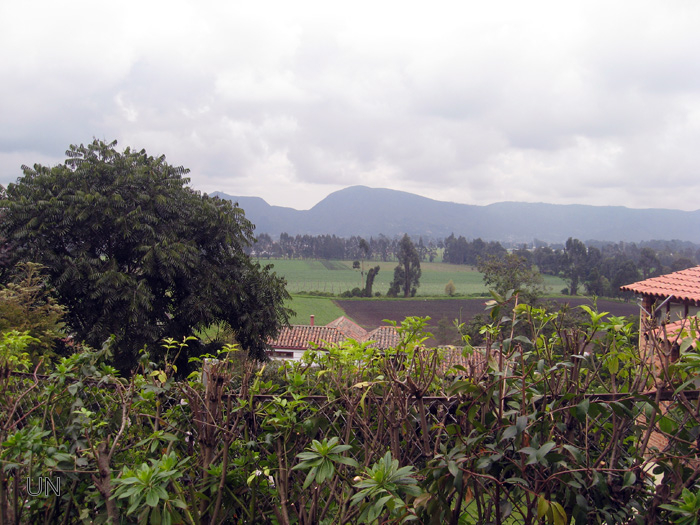 Las aves del norte bogotano recuperan su espacio
