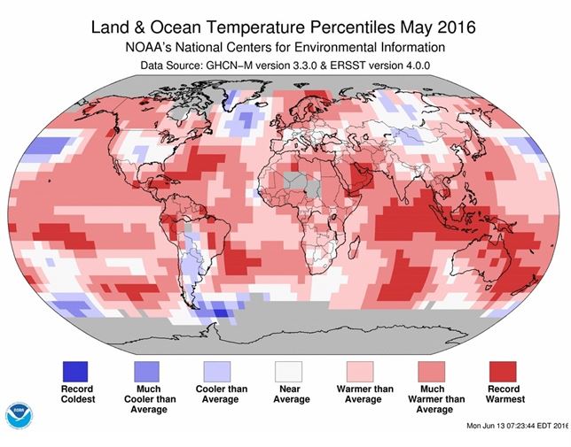 Trece meses seguidos de calor histórico desde 1880