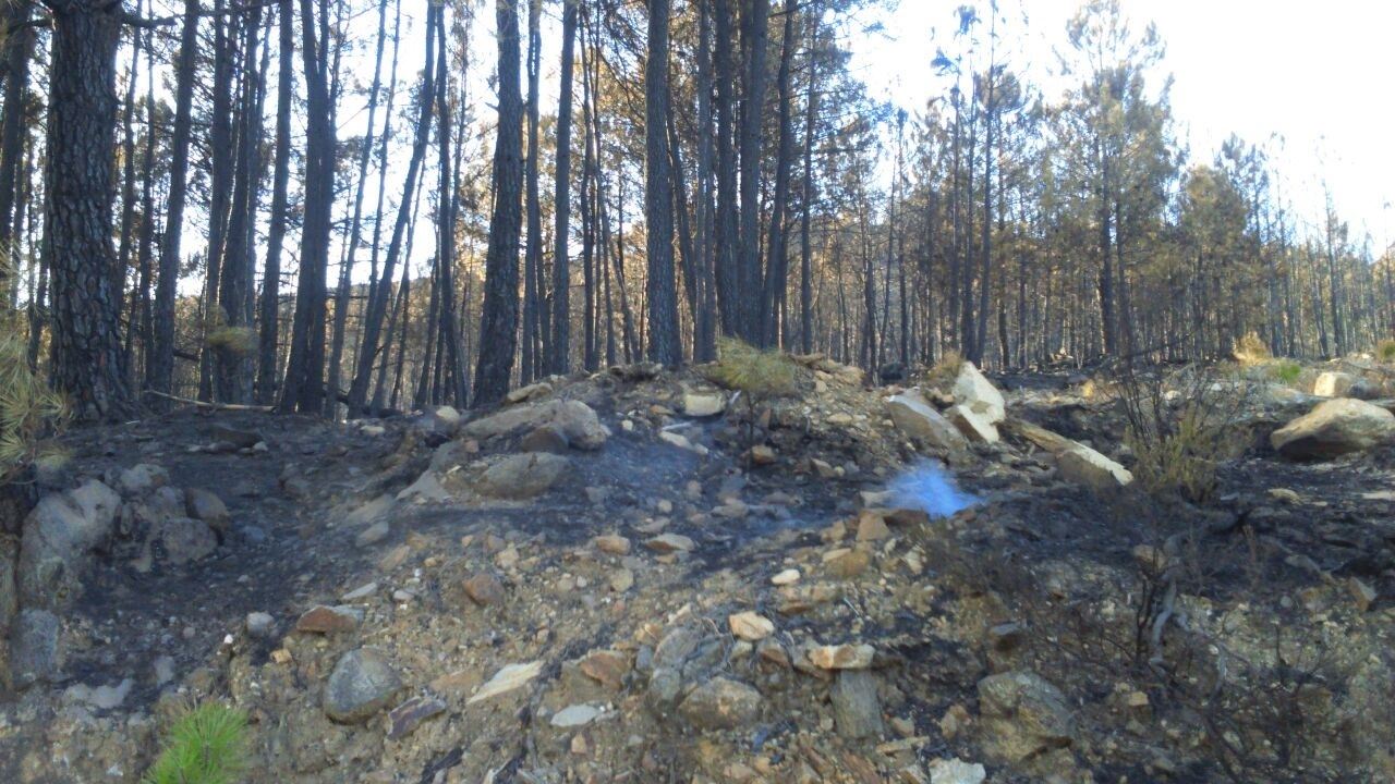 Se investigará hasta las últimas consecuencias el incendio forestal en Gata