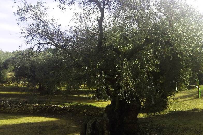 Premio del Paisaje 2016-2017