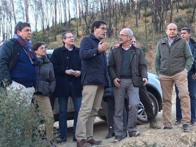 El Gobierno restaura las zonas afectadas por los incendios de Artana