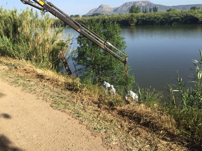 Retiran amianto del cauce del río Ter