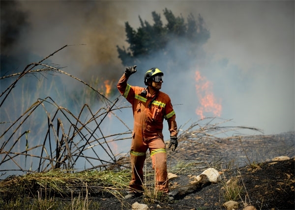 365 días después de los incendios de Cortes de Pallás y de Andilla