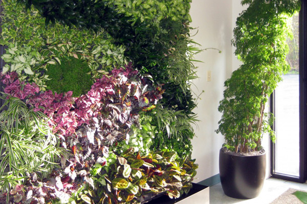 Greenwalls para refrescar y alimentar nuestro espacio