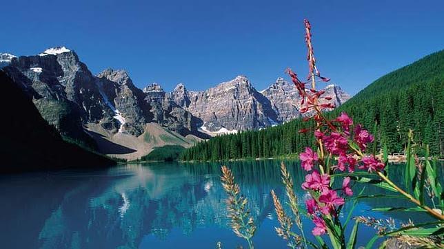 El Consejo de Ministros modifica las bases para conceder ayudas a ONG ecologistas